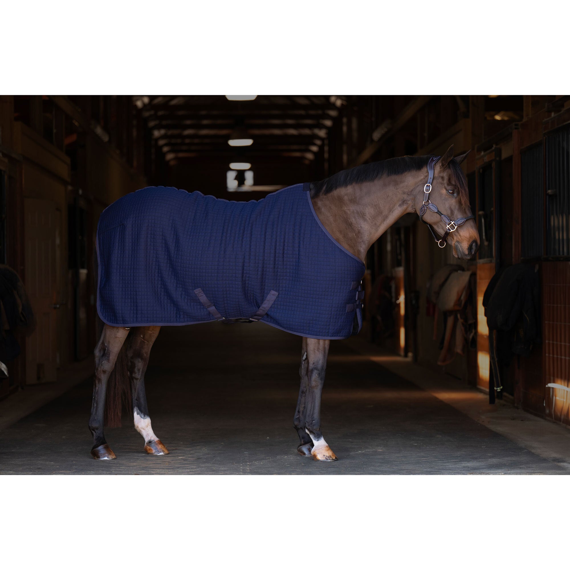 TuffRider ThermoManager Stable Blanket - image 7