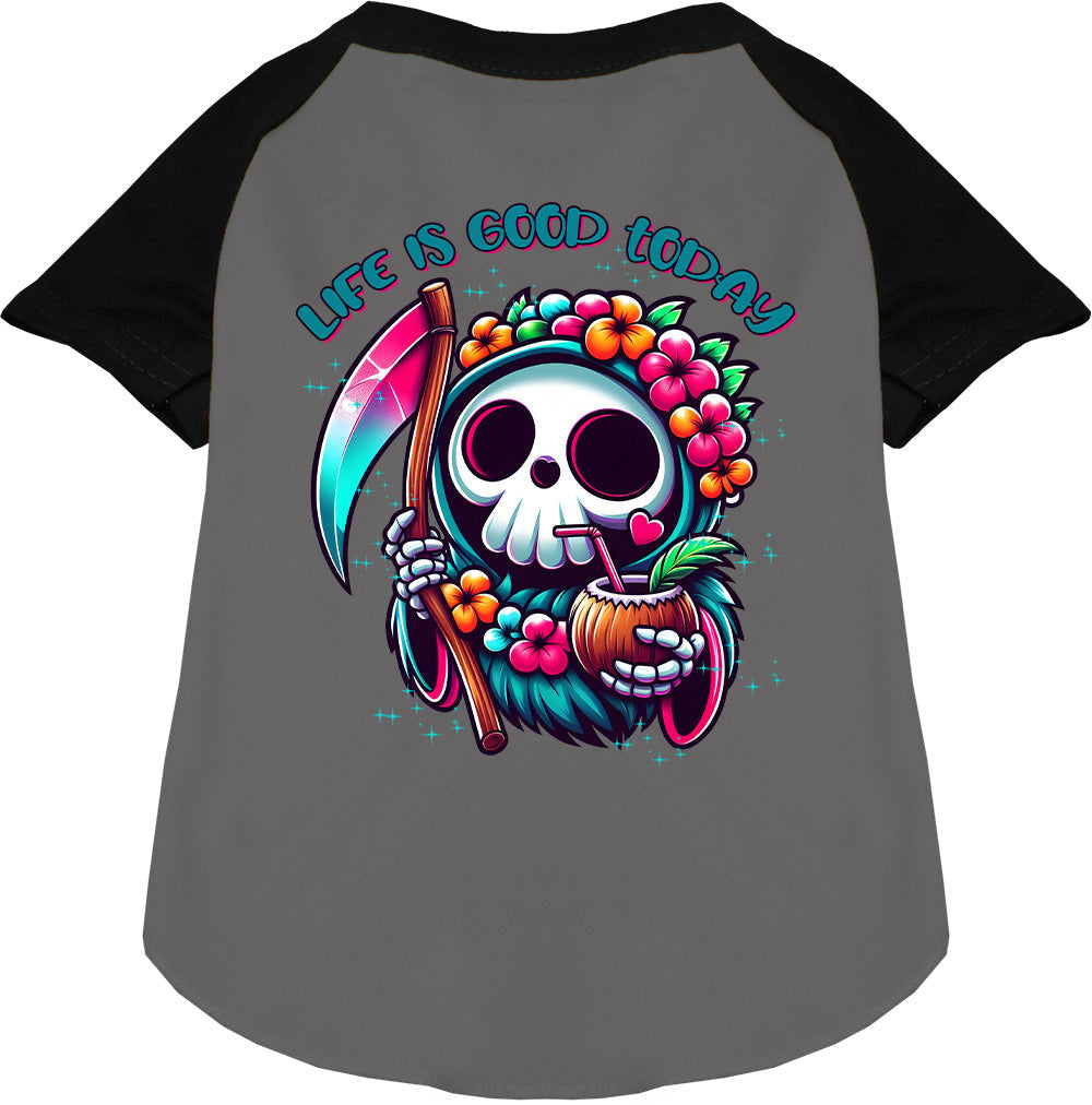 Tropical Grim Reaper Pet Raglan Shirt
