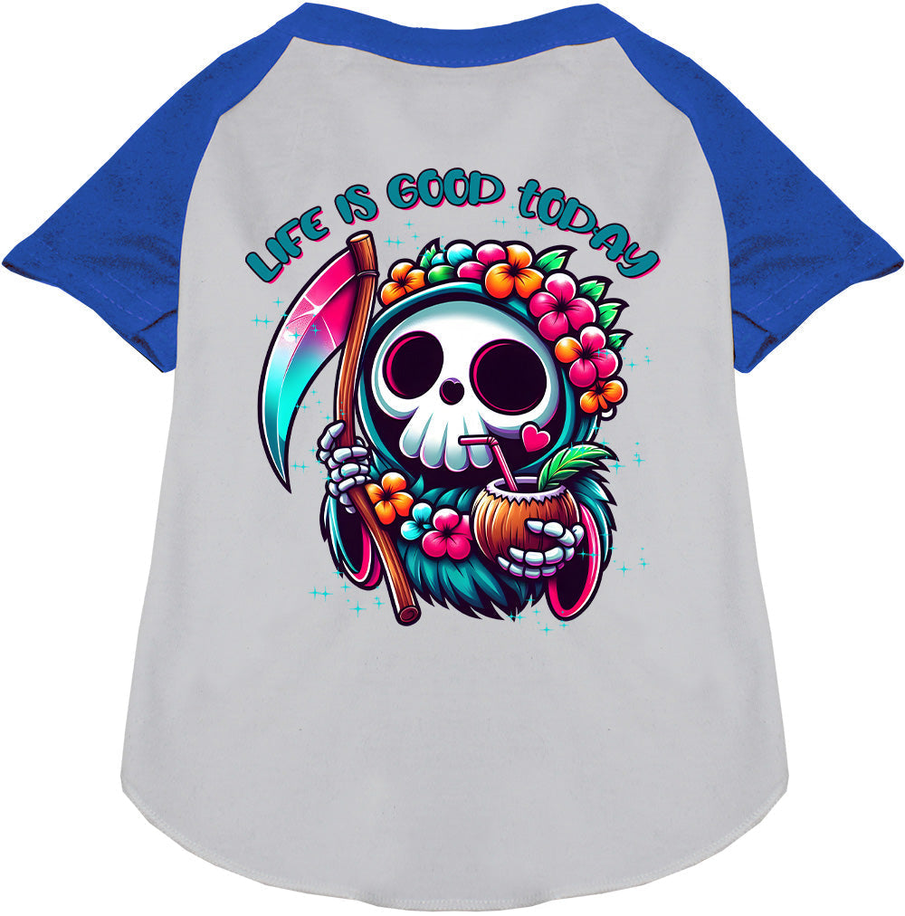 Tropical Grim Reaper Pet Raglan Shirt