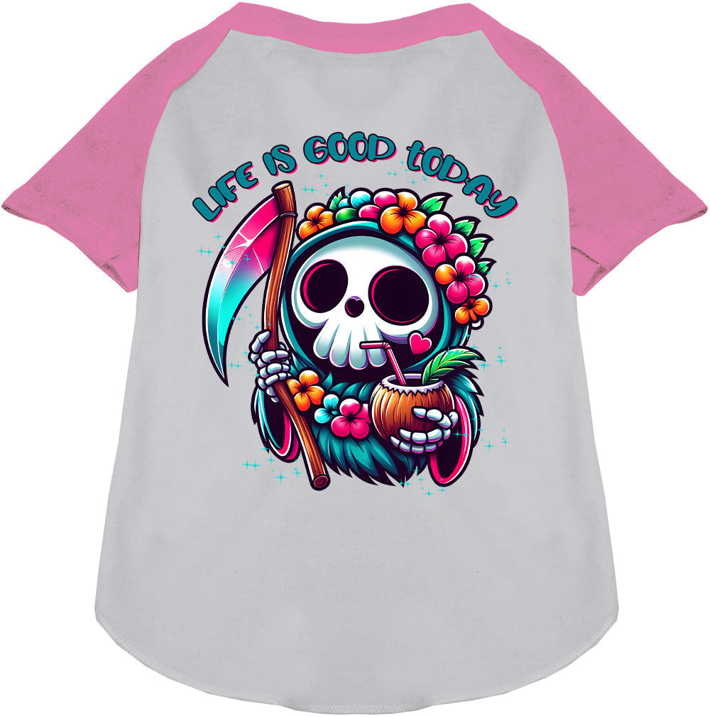 Tropical Grim Reaper Pet Raglan Shirt