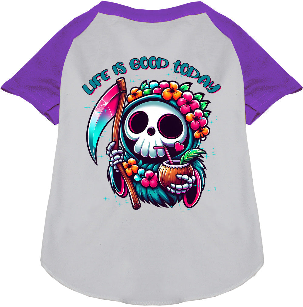 Tropical Grim Reaper Pet Raglan Shirt