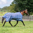 Load image into Gallery viewer, TuffRider Shoulder Lining FlyShield sheet - image 11
