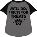 Load image into Gallery viewer, Will Do Tricks for Treats Pet Raglan Shirt
