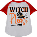 Load image into Gallery viewer, Witch Please Pet Raglan Shirt
