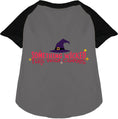 Load image into Gallery viewer, Something Wicked This Way Comes Pet Raglan Shirt
