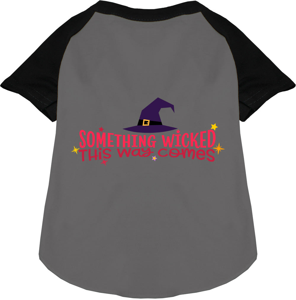 Something Wicked This Way Comes Pet Raglan Shirt