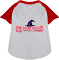 Load image into Gallery viewer, Something Wicked This Way Comes Pet Raglan Shirt
