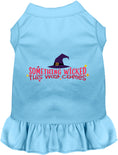 Load image into Gallery viewer, Something Wicked This Way Comes Pet Dress

