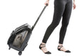 Load image into Gallery viewer, Rio Bag On Wheels - Black Croco
