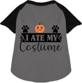 Load image into Gallery viewer, I Ate My Costume Pet Raglan Shirt
