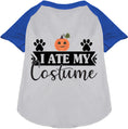 Load image into Gallery viewer, I Ate My Costume Pet Raglan Shirt
