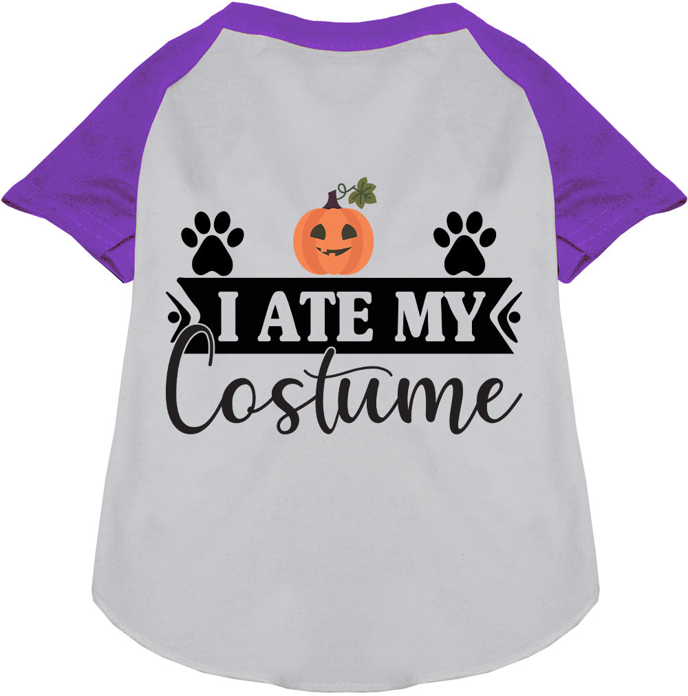 I Ate My Costume Pet Raglan Shirt