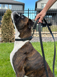 Load image into Gallery viewer, Celtic Sport Midnight Black Leather Dog Leash - image 2
