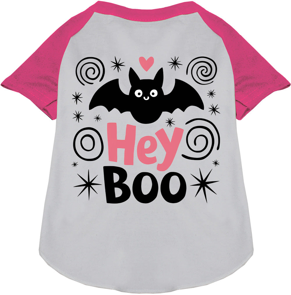 Hey Boo! Pet Raglan Shirt