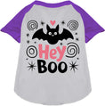 Load image into Gallery viewer, Hey Boo! Pet Raglan Shirt
