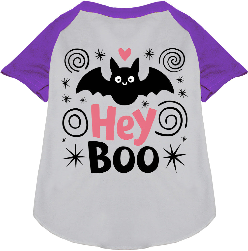 Hey Boo! Pet Raglan Shirt