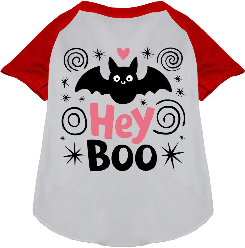 Hey Boo! Pet Raglan Shirt
