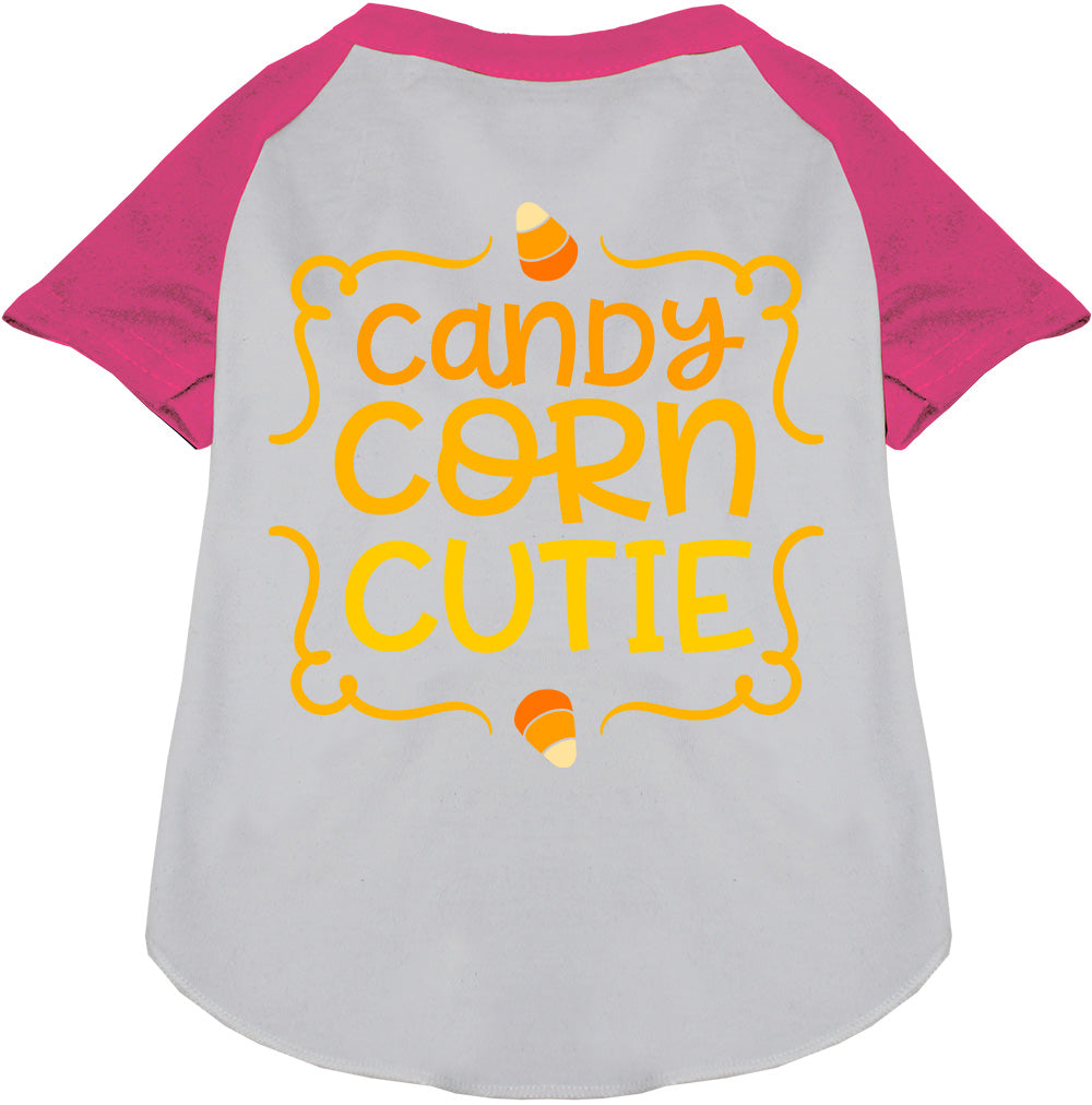 Candy Corn Cutie Pet Raglan Shirt