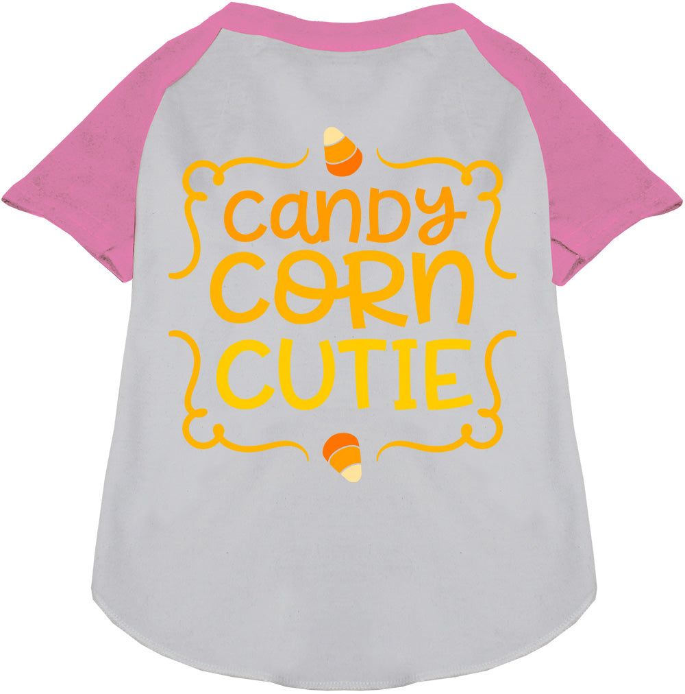 Candy Corn Cutie Pet Raglan Shirt