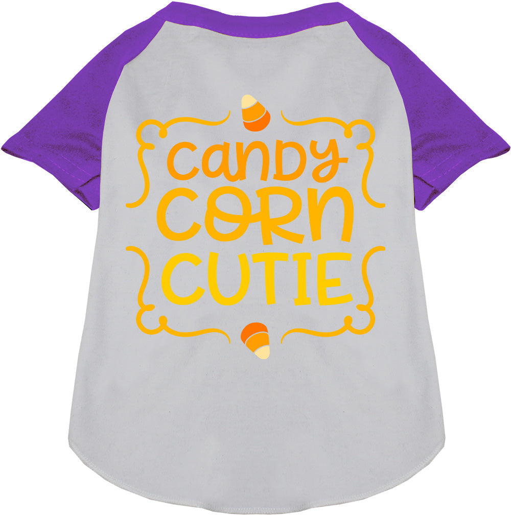 Candy Corn Cutie Pet Raglan Shirt
