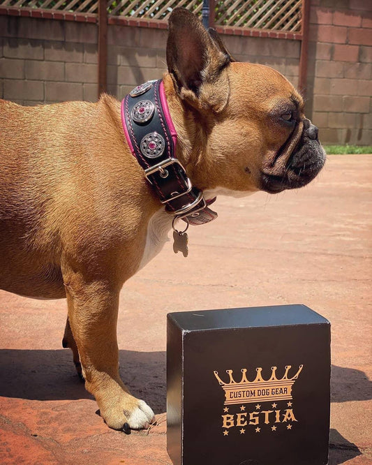 "Bijou" collar black & pink 