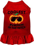 Load image into Gallery viewer, Coolest Pumpkin Pet Dress
