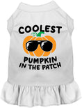 Load image into Gallery viewer, Coolest Pumpkin Pet Dress
