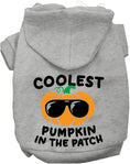 Load image into Gallery viewer, Coolest Pumpkin Halloween Pet Hoodie
