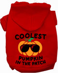 Load image into Gallery viewer, Coolest Pumpkin Halloween Pet Hoodie
