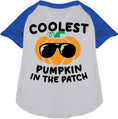 Load image into Gallery viewer, Coolest Pumpkin Pet Raglan Shirt
