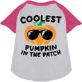 Load image into Gallery viewer, Coolest Pumpkin Pet Raglan Shirt
