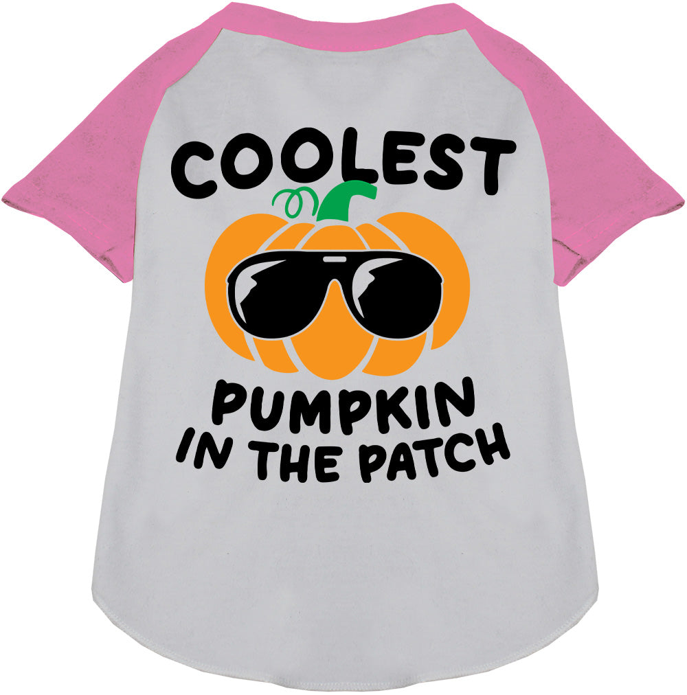 Coolest Pumpkin Pet Raglan Shirt