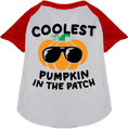 Load image into Gallery viewer, Coolest Pumpkin Pet Raglan Shirt
