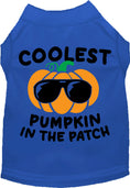 Load image into Gallery viewer, Coolest Pumpkin Pet Shirt
