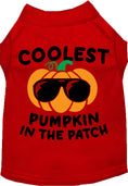 Load image into Gallery viewer, Coolest Pumpkin Pet Shirt
