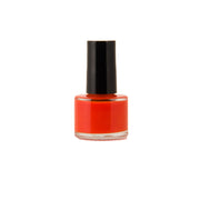 Disco Paw Orange Non-toxic Nail Polish by Dog Fashion Spa