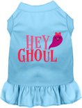 Load image into Gallery viewer, Hey Ghoul Pet Dress
