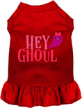 Load image into Gallery viewer, Hey Ghoul Pet Dress
