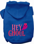 Load image into Gallery viewer, Hey Ghoul Pet Hoodie
