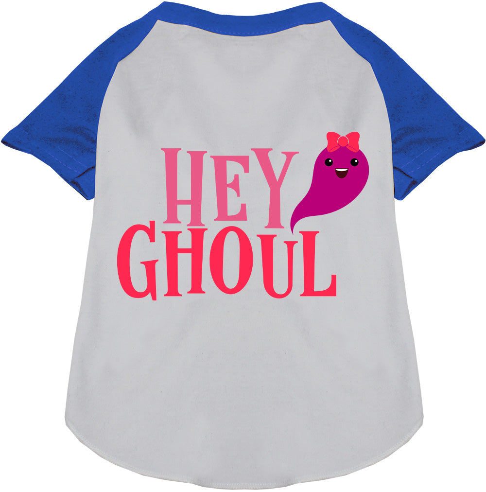 Hey Ghoul Pet Raglan Shirt