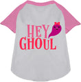 Load image into Gallery viewer, Hey Ghoul Pet Raglan Shirt
