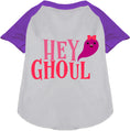 Load image into Gallery viewer, Hey Ghoul Pet Raglan Shirt
