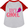 Load image into Gallery viewer, Hey Ghoul Pet Raglan Shirt
