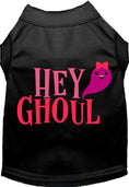 Load image into Gallery viewer, Hey Ghoul Pet Shirt
