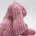 Load image into Gallery viewer, Bitsy Bunny Knottie® Plush Dog Toy - image 6
