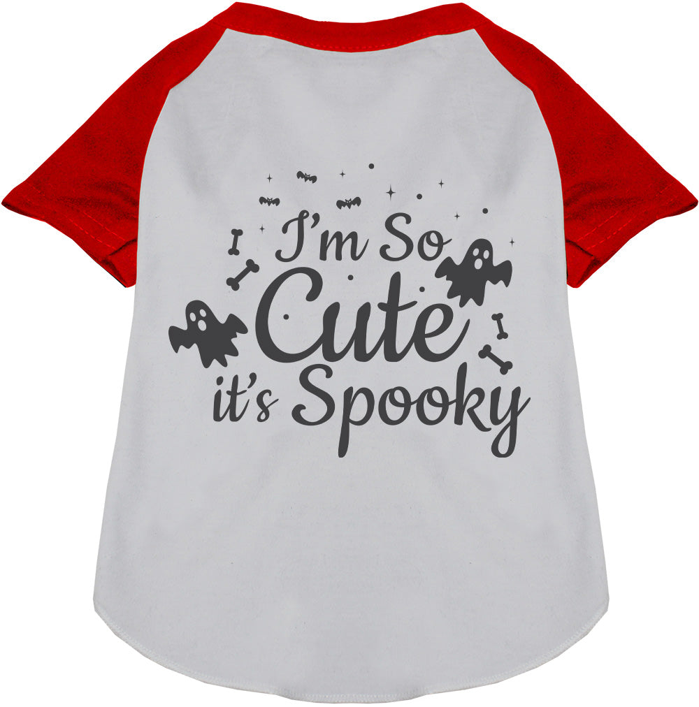 So Cute, It's Spooky Pet Raglan Shirt