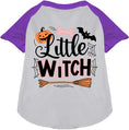 Load image into Gallery viewer, Little Witch Pet Raglan Shirt
