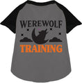 Load image into Gallery viewer, Werewolf in Training Pet Raglan Shirt
