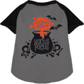 Load image into Gallery viewer, Just a Bunch of Hocus Pocus Pet Raglan Shirt
