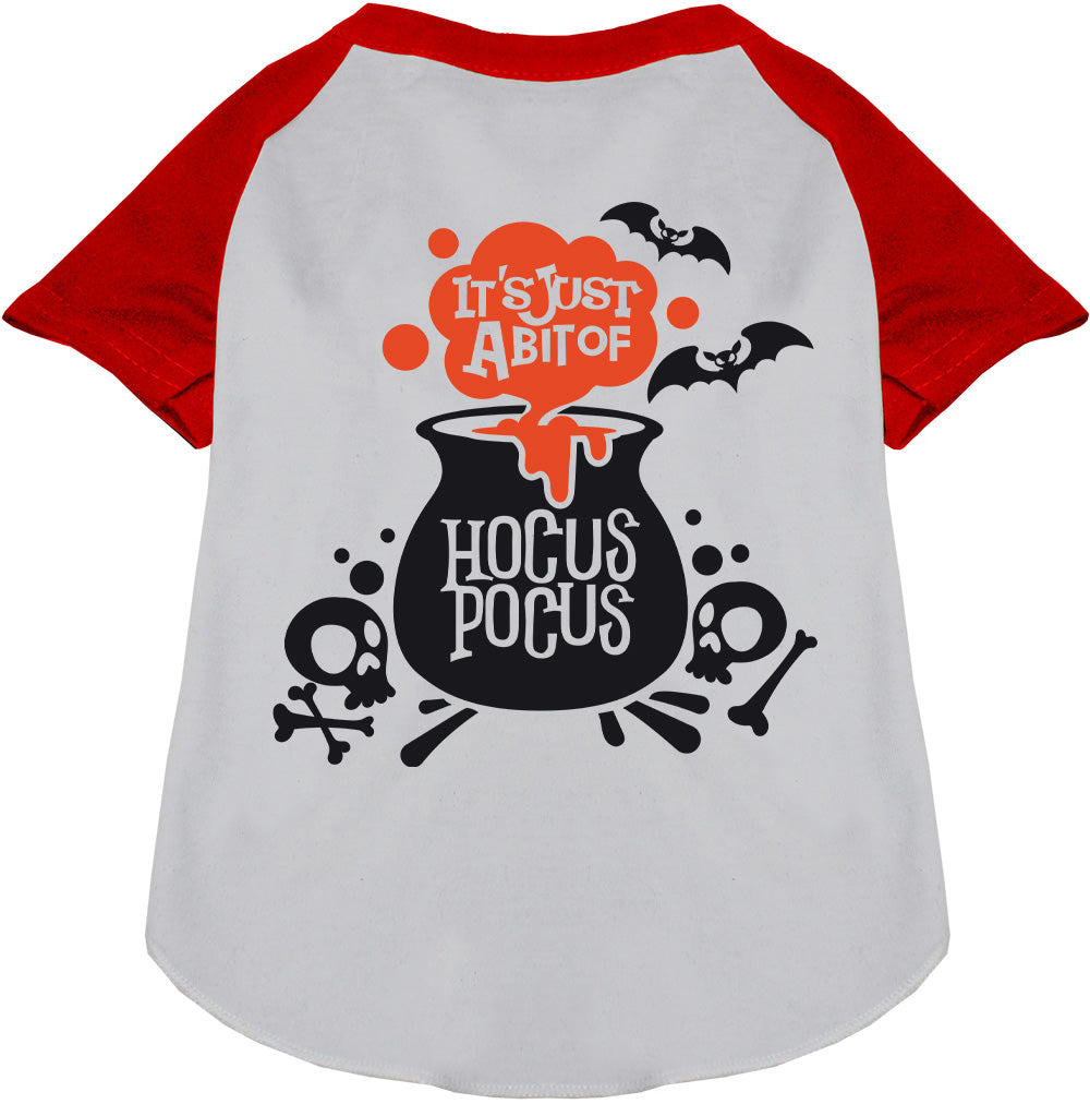 Just a Bunch of Hocus Pocus Pet Raglan Shirt